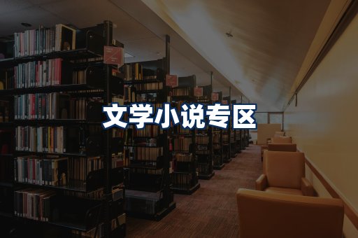 文学小说PDF展示